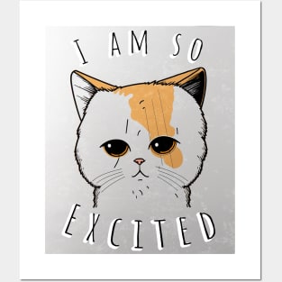 Cute Cat Excited Face Posters and Art